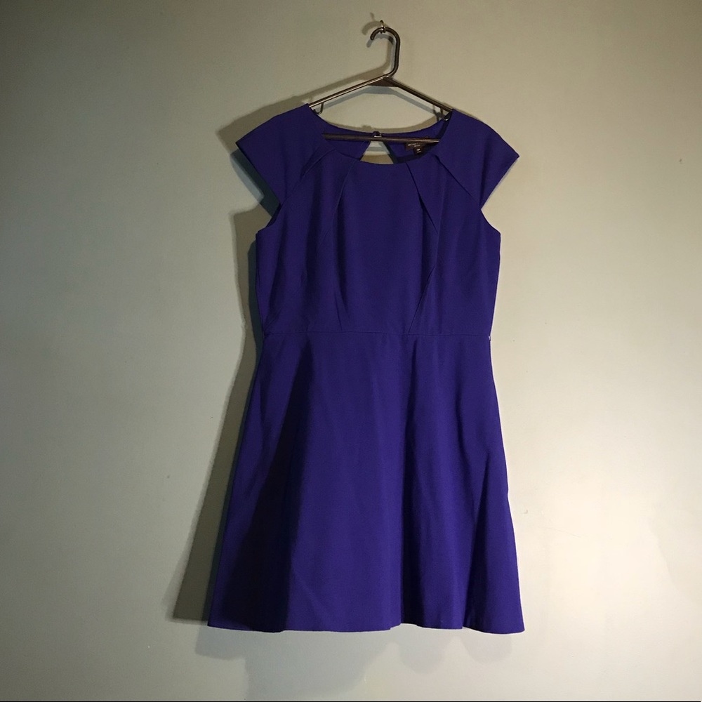 Tahari Blue Dress